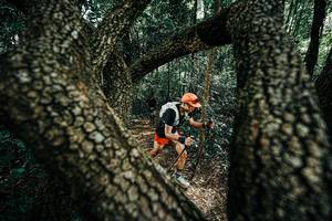 BIB: 
                            <button type="button" onclick="openModal(25392120)" class="btn btn-primary btn-sm float-right btn-popup" data-toggle="modal" data-target=".modal-high-quality">
                        <i class="fas fa-shopping-cart"></i> Add to Cart
                    </button>
                                            <button type="button" onclick="isThisMe(25392120, true)" class="btn btn-success btn-sm float-right btn-popup btn-isme hidden" data-toggle="tooltip" data-placement="bottom" title="นี่คือรูปของคุณใช่ไหม คลิกที่นี่เพื่อเอาเข้าอัลบั้ม">
                        <i class="fas fa-plus"></i> Add to album
                    </button>
                    <button type="button" onclick="isThisMe(25392120, false)" class="btn btn-warning btn-sm float-right btn-popup btn-isnotme hidden">
                        <i class="fas fa-ban"></i> Remove from album
                    </button>